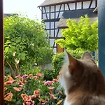 Vakantiehuis Gut Bunt *