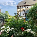 Gut Bunt * Runkel