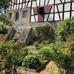 Gut Bunt * Runkel