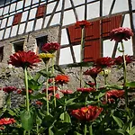 Holiday home Gut Bunt