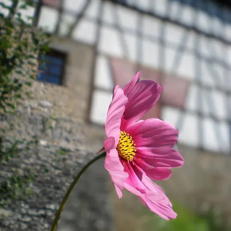 Gut Bunt *