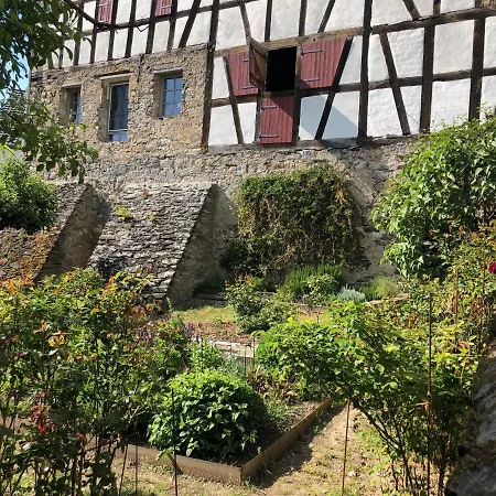 Gut Bunt * Runkel