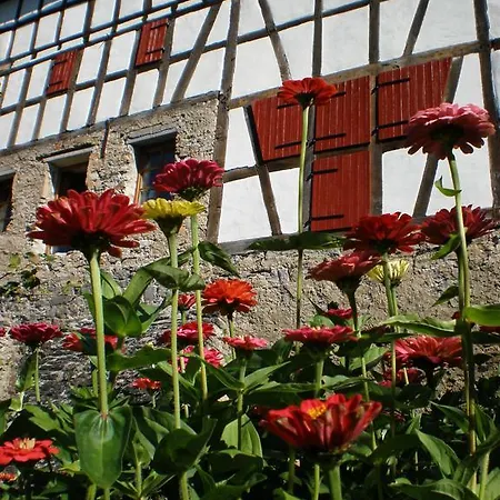 Holiday home Gut Bunt