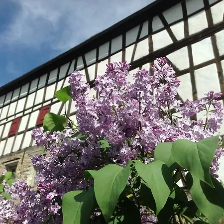 Holiday home Gut Bunt Runkel