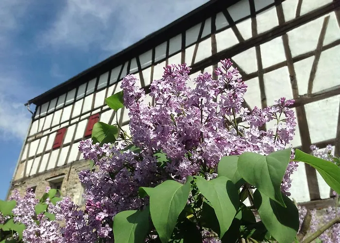 펜션 Gut Bunt 룬켈